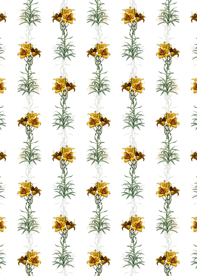 Floral Fire Lily Pattern