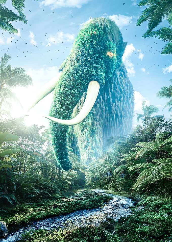 Natures Revenge