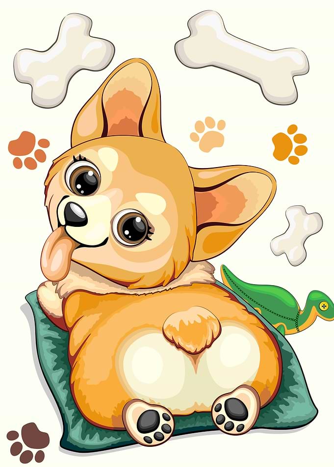 Korgi Pet Cute Dog