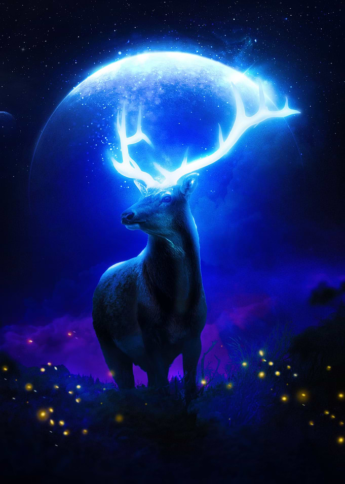 Magical Nature 1