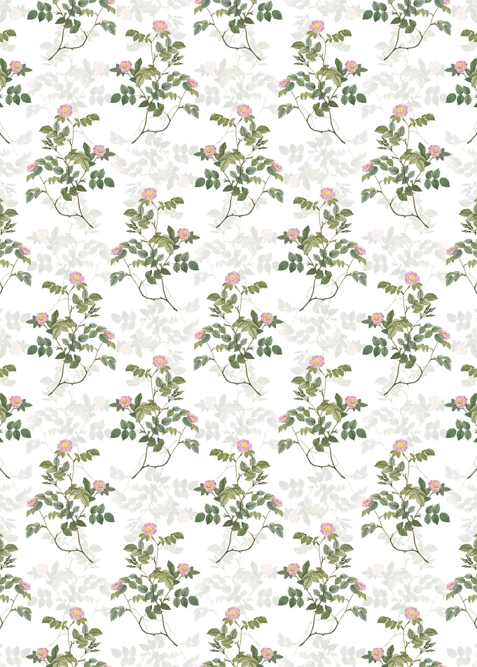 Sweetbriar Rose Pattern