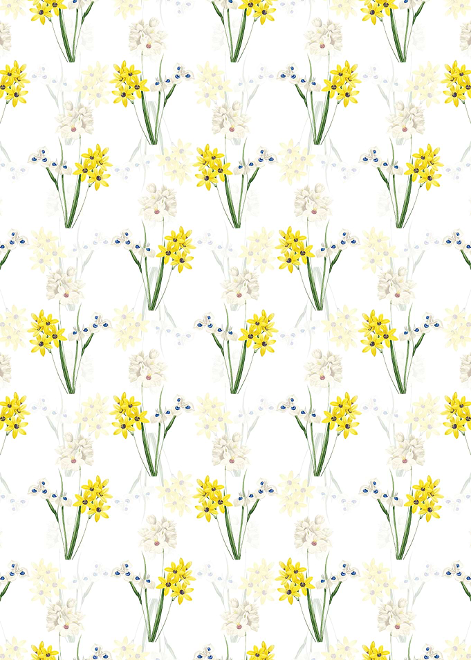 Floral Corn Lily Pattern