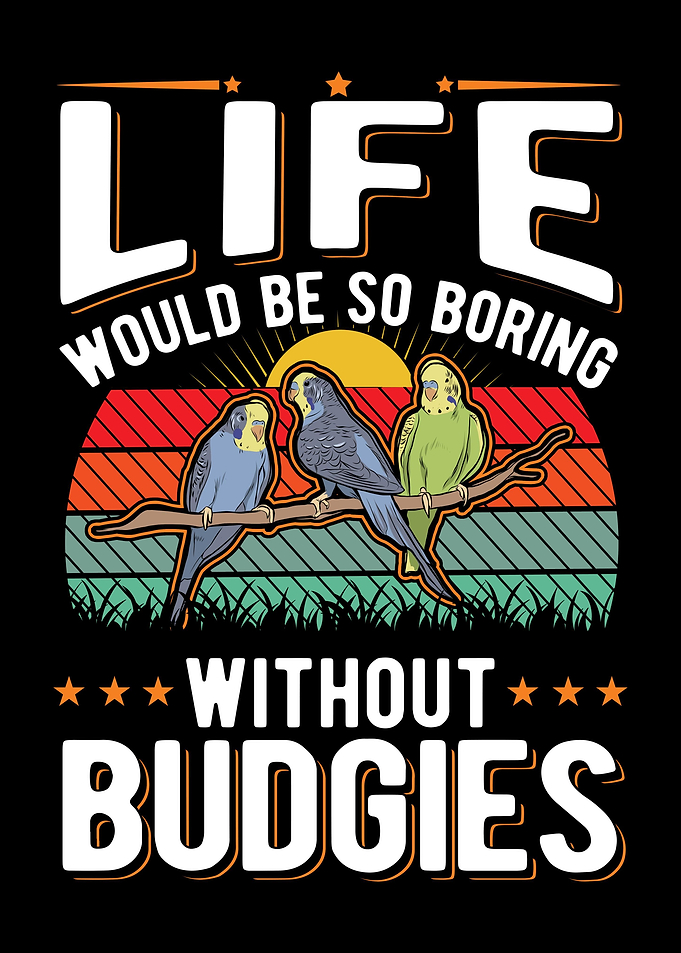 Budgie Gift Parakeet