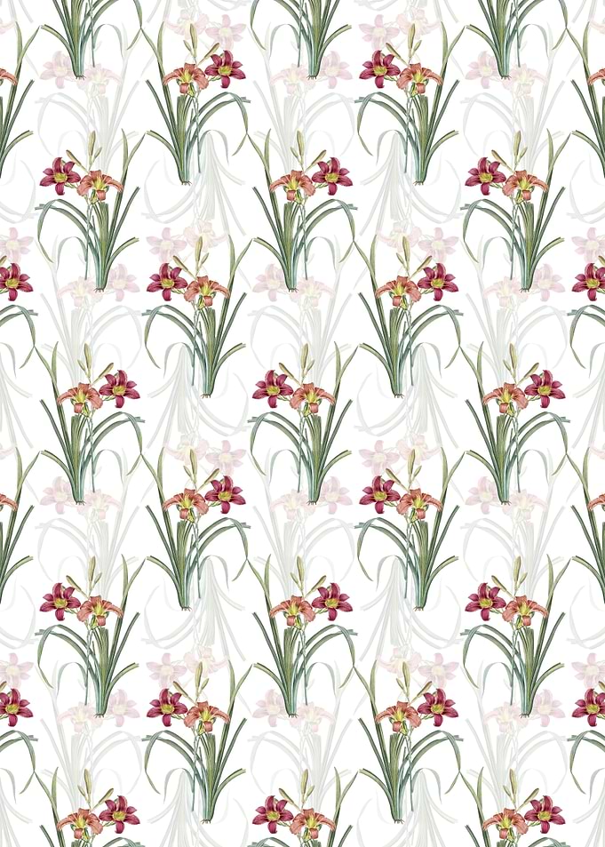 Orange Day Lily Pattern
