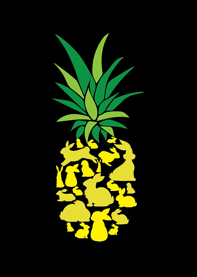 Pineapple Lover Rabbit