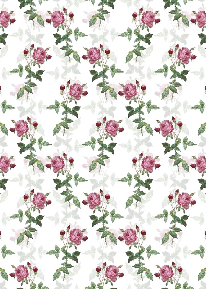 Provence Rose Pattern