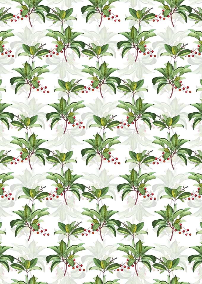 Greek Strawberry Tree