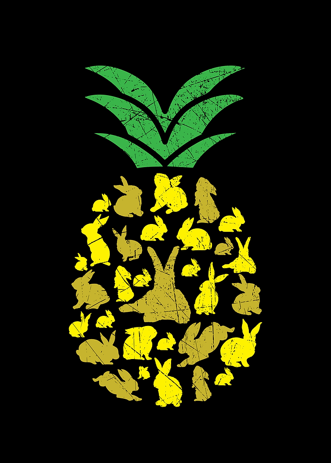 Pineapple Lover Rabbit