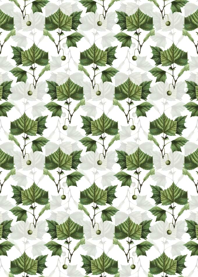 American Sycamore Pattern