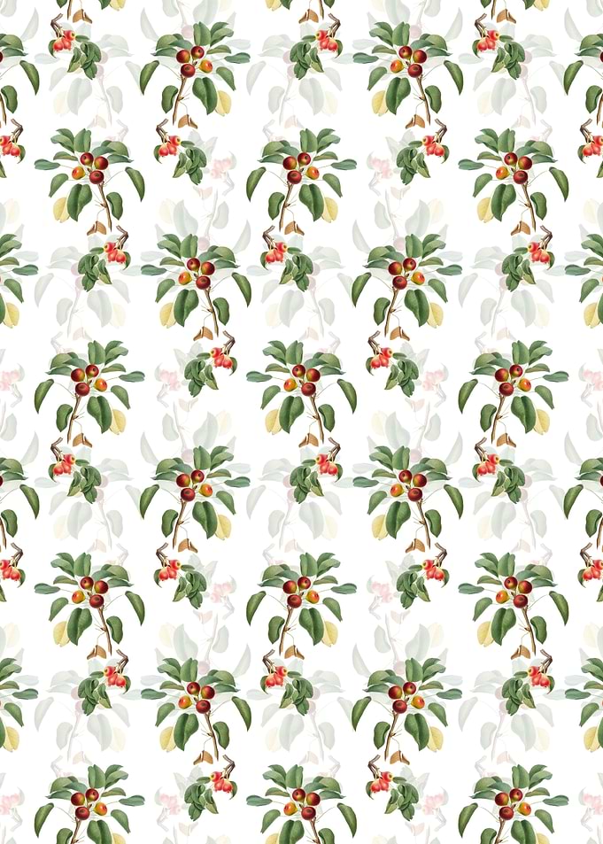 Floral Musky Pear Pattern