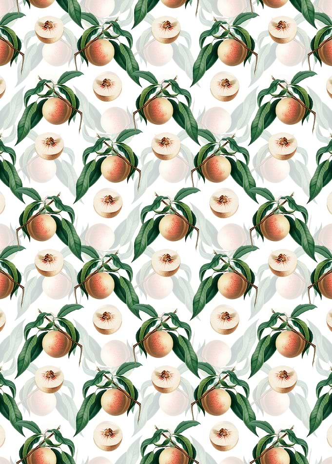 White Floral Peach Pattern