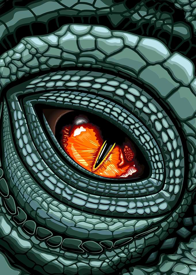 Reptile Eye Creepy Look