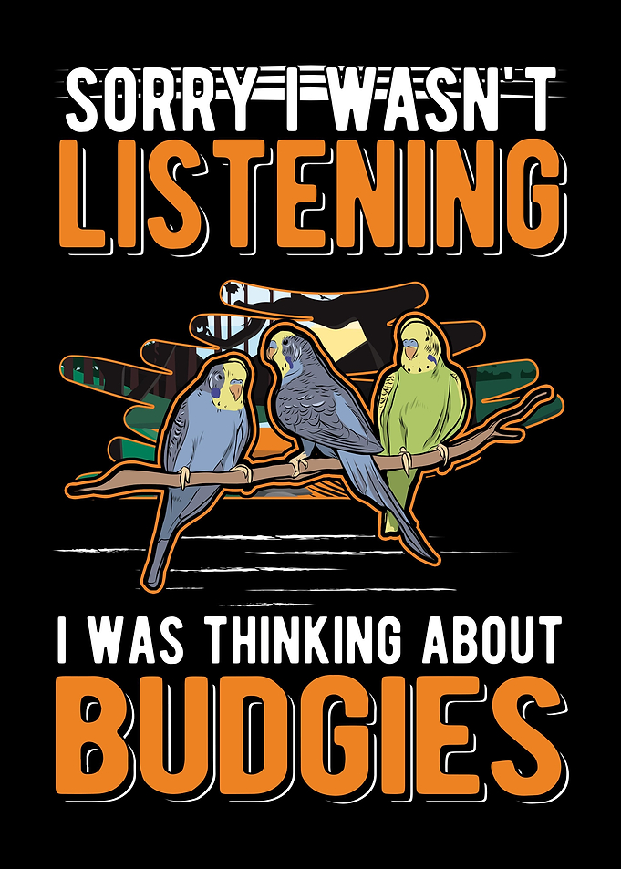 Budgie Gift Parakeet