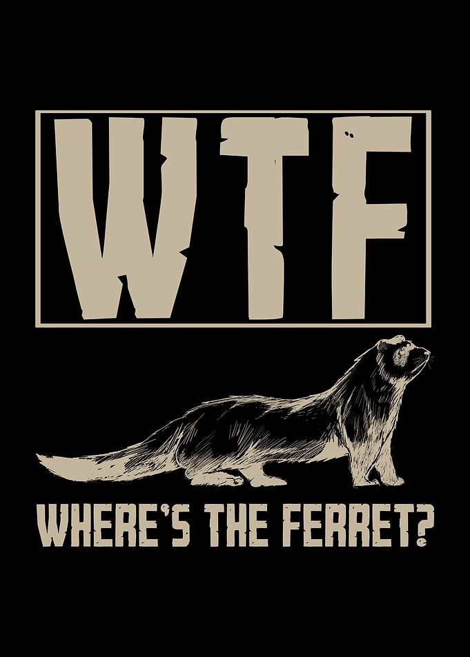 Ferret Small Animals