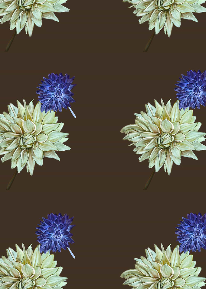 Hand drawn dahlia