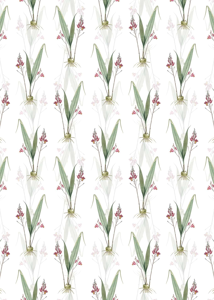 Floral Pine Pink Pattern