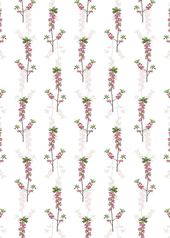 February Daphne Pattern