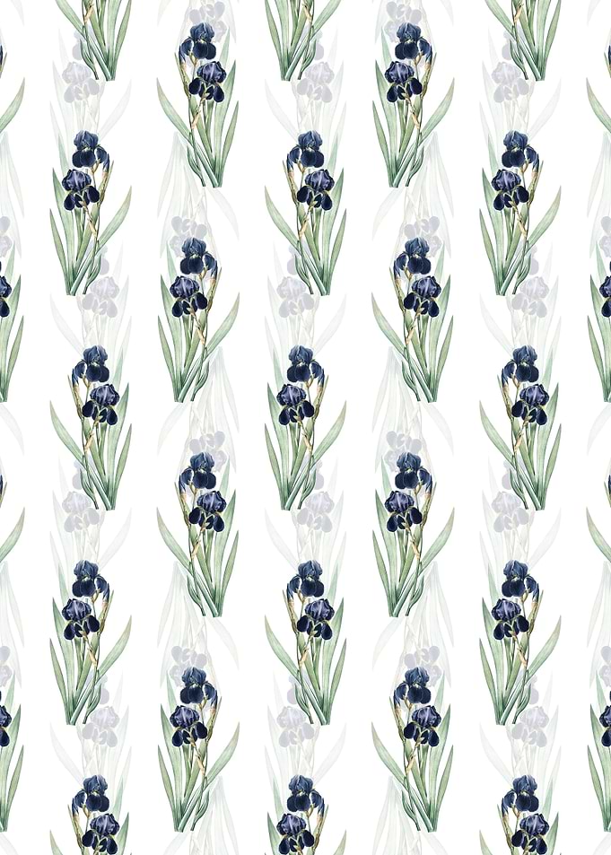 Floral German Iris Pattern