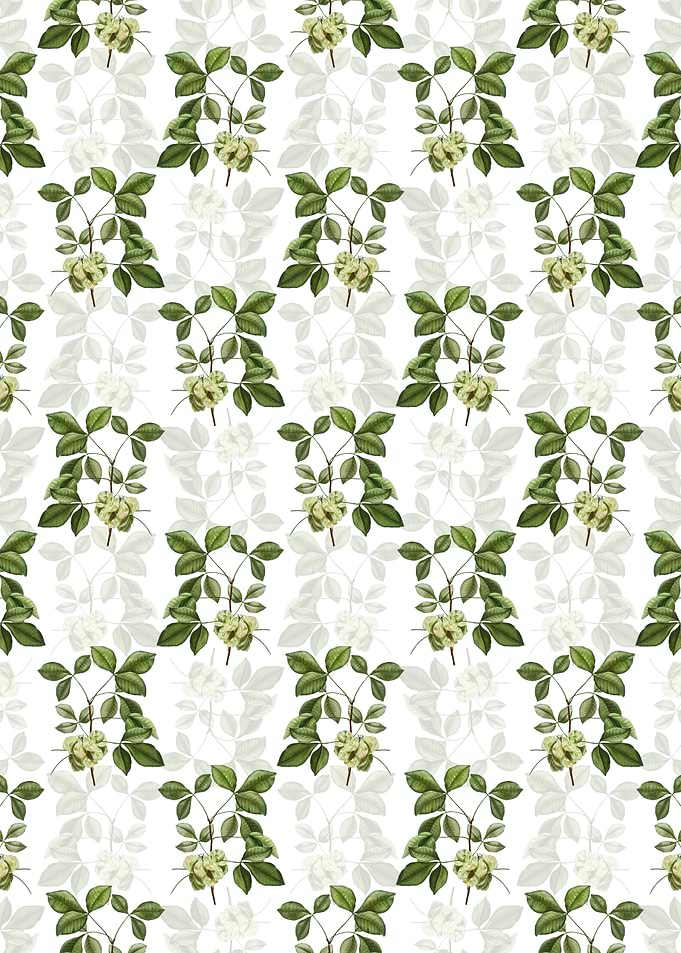 Common Hoptree Pattern
