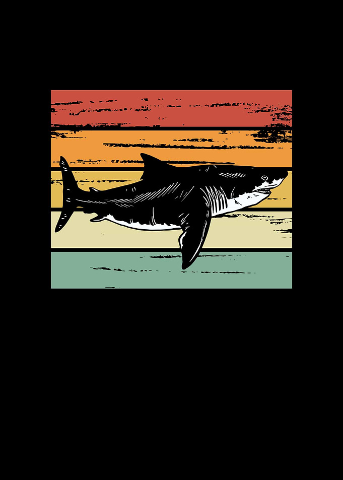 Shark retro color
