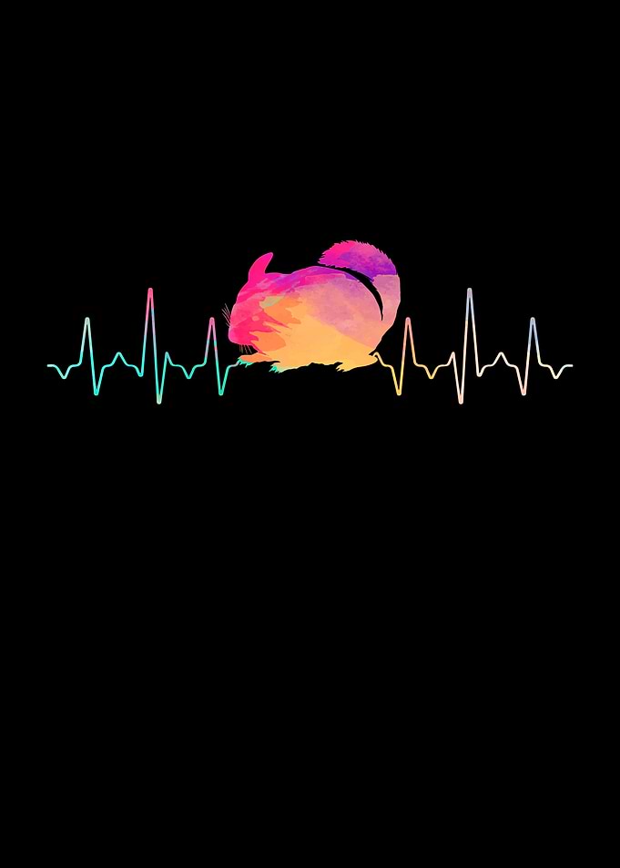 Chinchilla Heartbeat