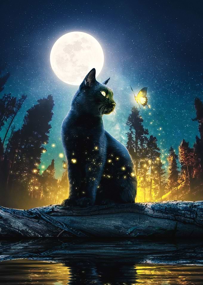 Cat Moon and Stars 2