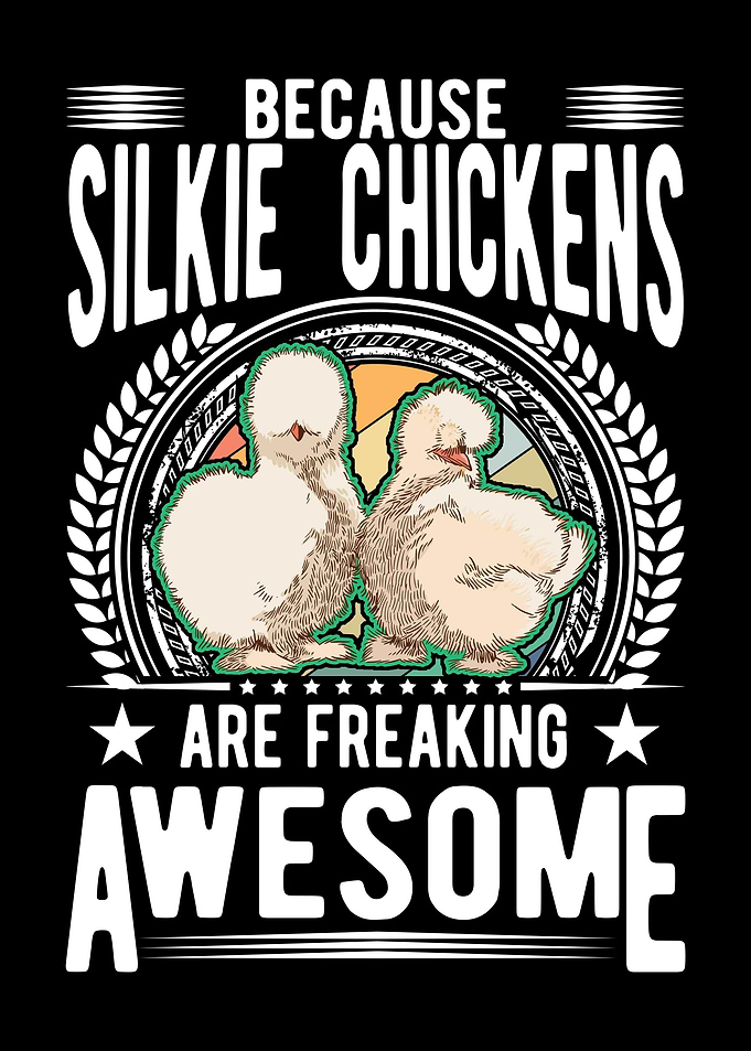 Silkie Chicken