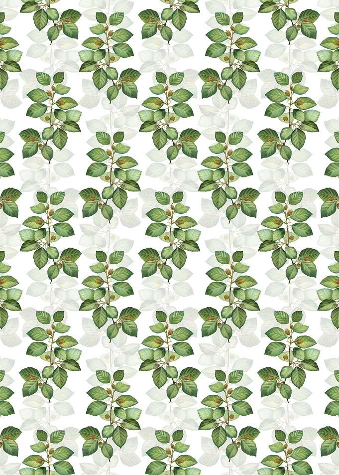 European Beech Pattern