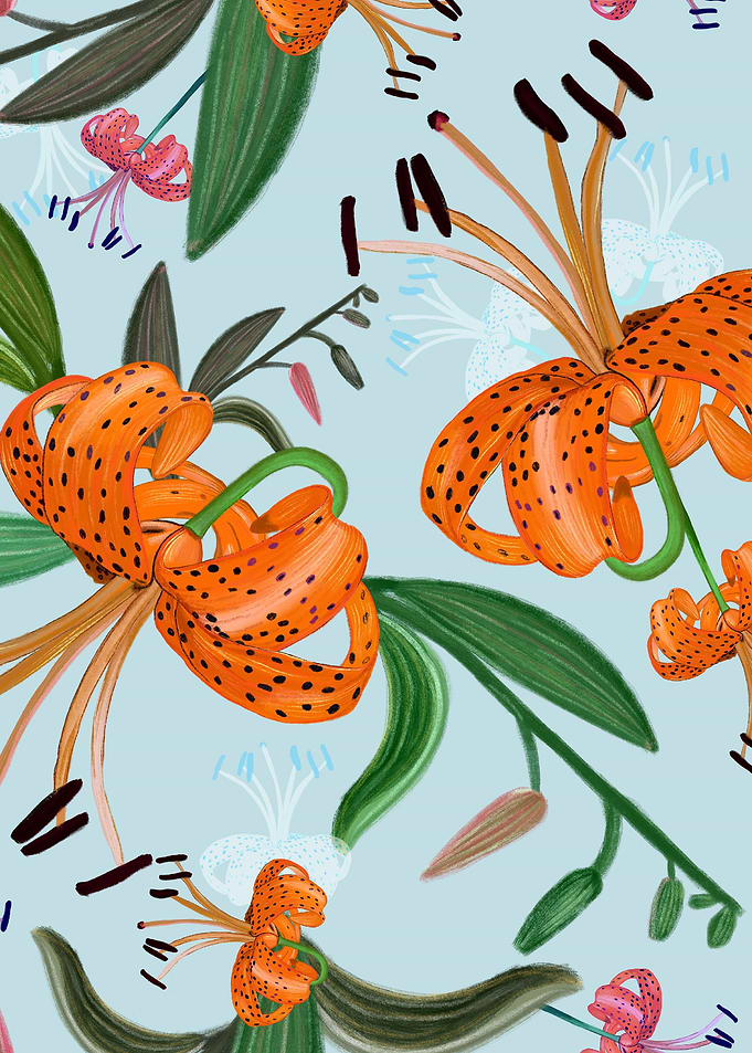 Leopard lily
