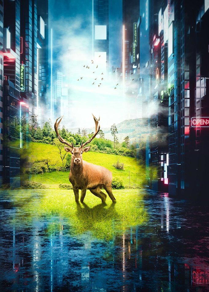 Two Worlds