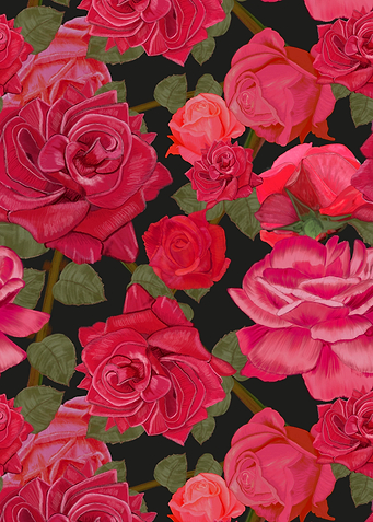 Hand drawn red roses