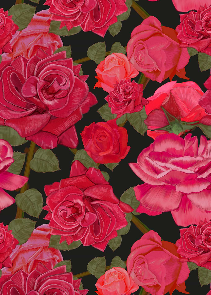 Hand drawn red roses