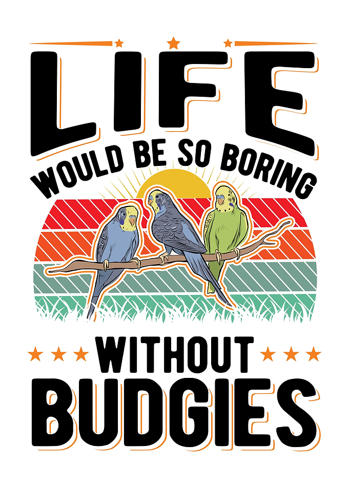 Budgie Gift Parakeet