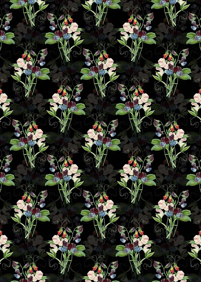 Floral Sweet Pea Pattern