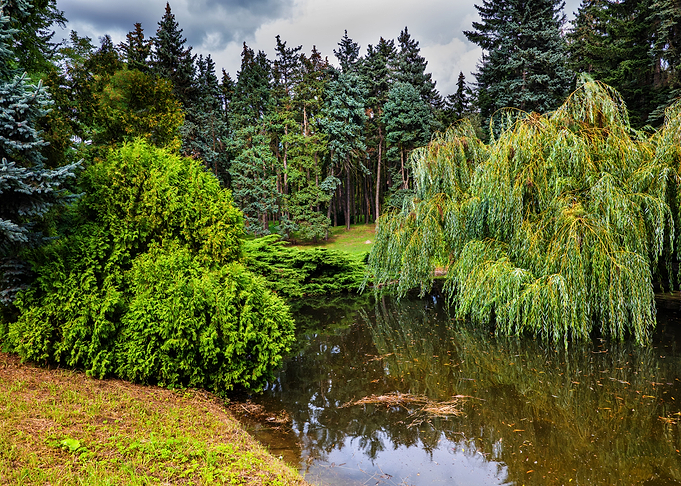 Skaryszew Park In Warsaw