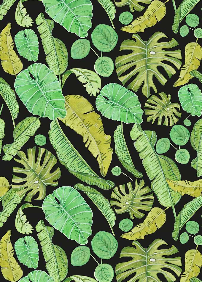 Green tropical leaves