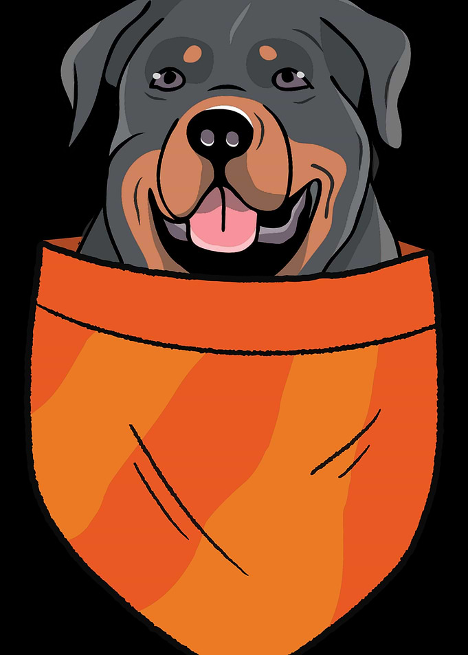 Pet Dog Lovers Dog Owner