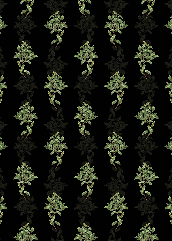 Evergreen Oak Pattern