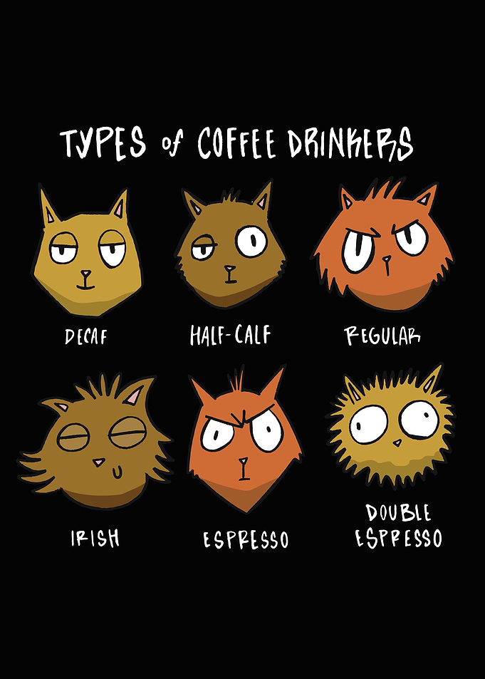 Funny coffee cats