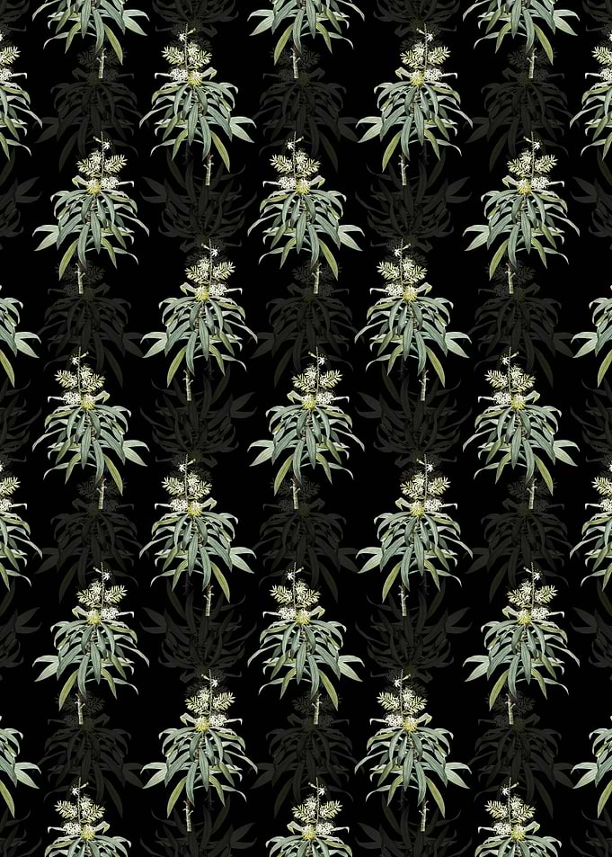 Floral Pleomele Pattern