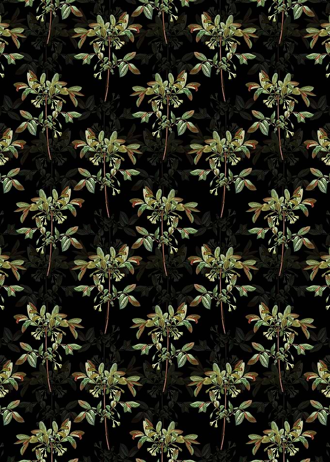 Honeyberry Flower Pattern