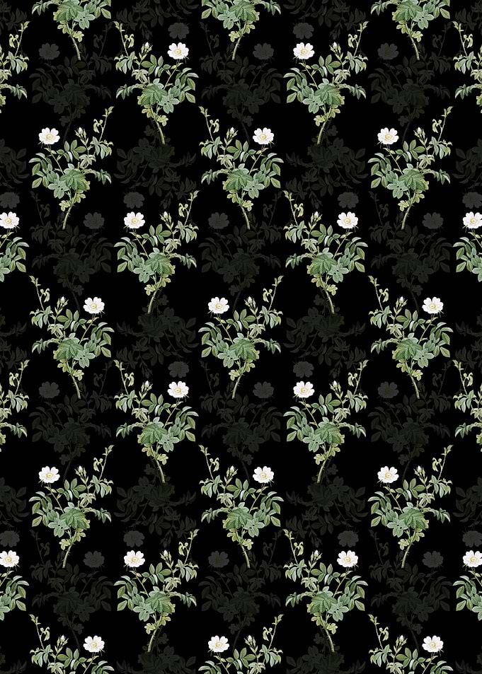 White Downy Rose Pattern
