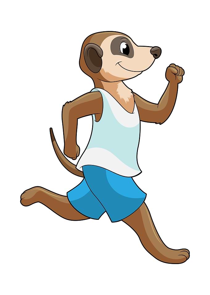 Meerkat Runner Running