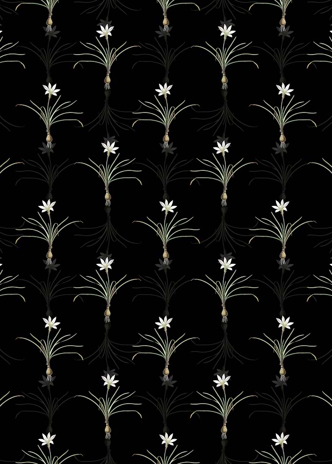 Floral Rain Lily Pattern
