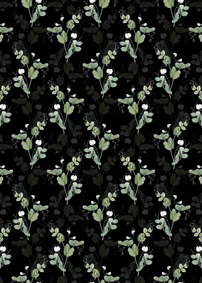 White Pea Flower Pattern