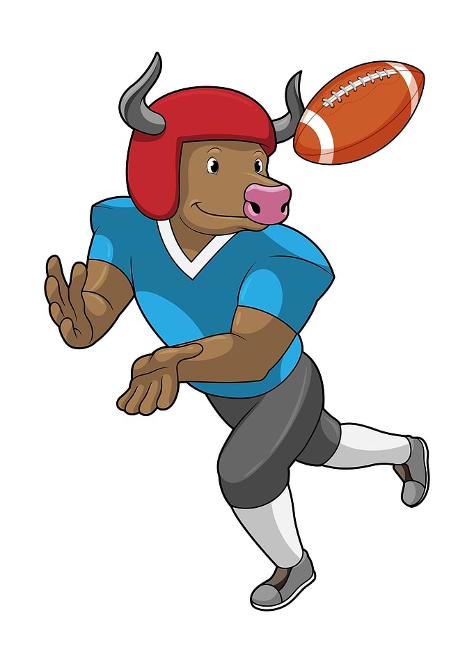 Bull Football Sports