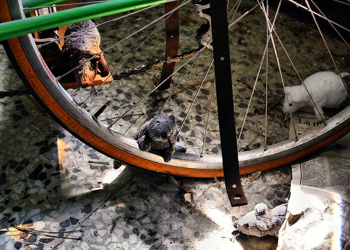 Exploring mice
