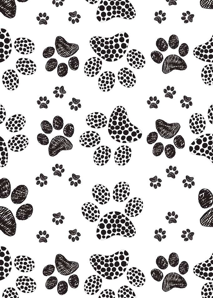 Black and white paw