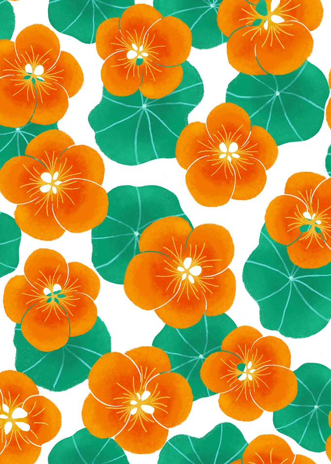 Nasturtium pattern