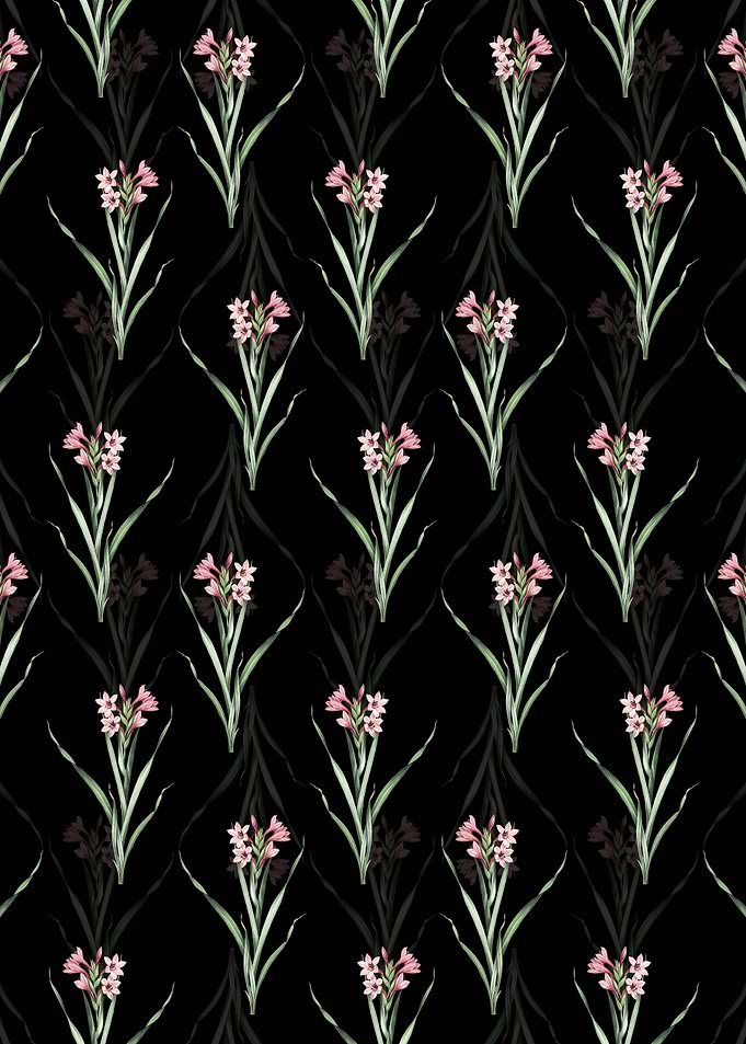 Floral Sword Lily Pattern